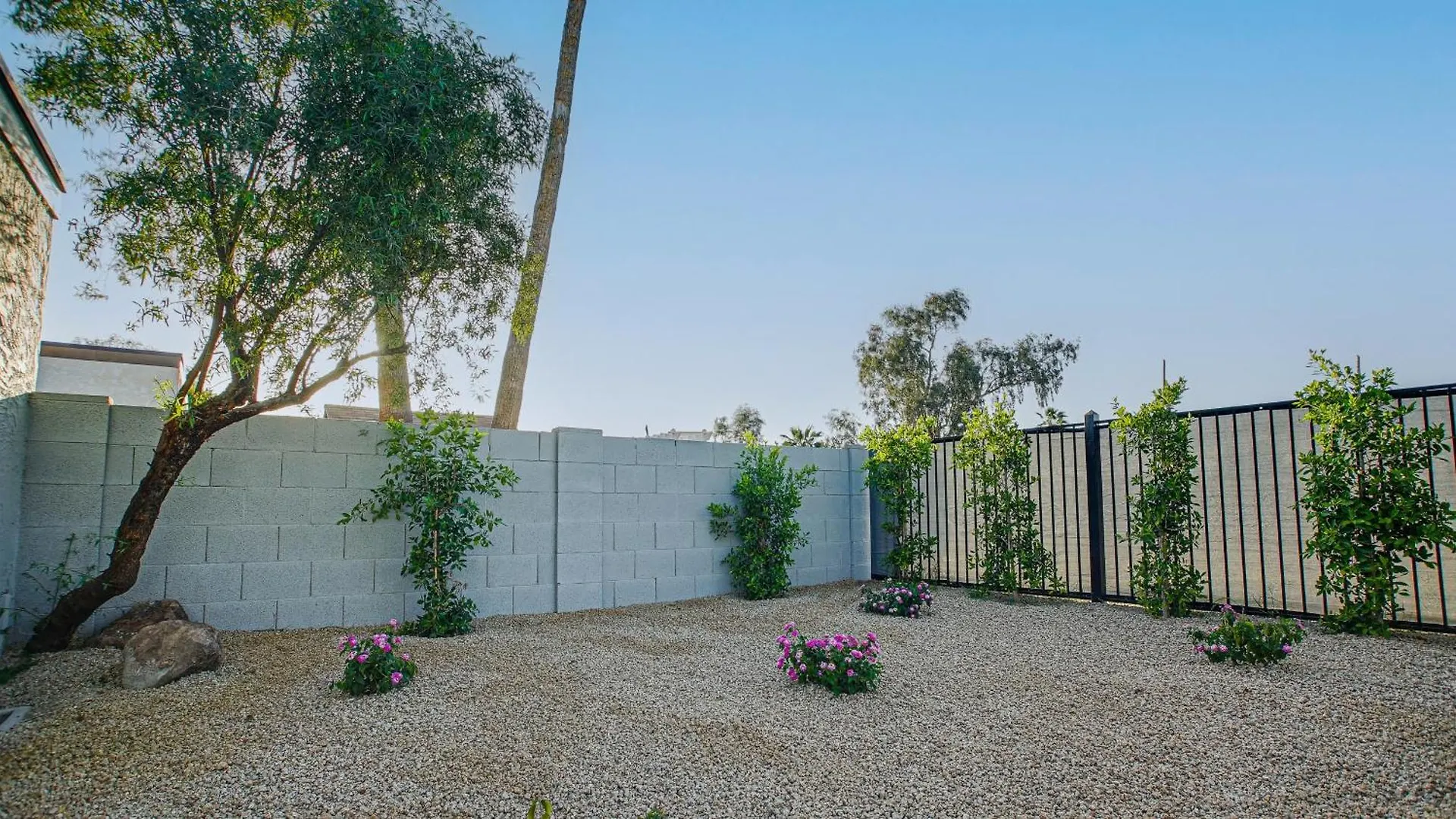 Heatherbrae Phoenix 0*,